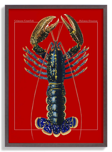 Red Lobster - Kuriosis Fine Art GmbH