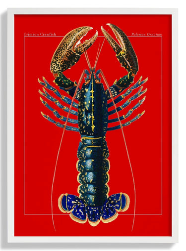 Red Lobster - Kuriosis Fine Art GmbH