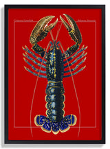 Red Lobster - Kuriosis Fine Art GmbH