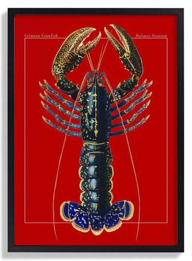 Red Lobster - Kuriosis Fine Art GmbH