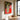 Red Tulip In A Modern Vase by Susan Black - Kuriosis Fine Art GmbH
