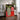 Red Tulip In A Modern Vase by Susan Black - Kuriosis Fine Art GmbH