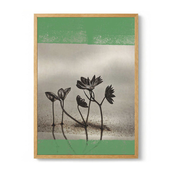 Reflected Green Flowers by The Art Concept