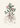 Rhatany (krameria Triandrea) Medical Botany by John Stephenson and - Kuriosis Fine Art GmbH