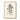 Rhatany (krameria Triandrea) Medical Botany by John Stephenson and - Kuriosis Fine Art GmbH