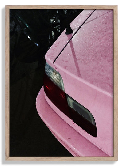 Rose Car door Andrea Schindler