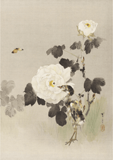 Roses - Young Bird and a Butterfly by WANTANABE SEITEI - Kuriosis Fine Art GmbH
