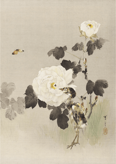Roses - Young Bird and a Butterfly by WANTANABE SEITEI - Kuriosis Fine Art GmbH