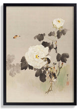 Roses - Young Bird and a Butterfly by WANTANABE SEITEI - Kuriosis Fine Art GmbH