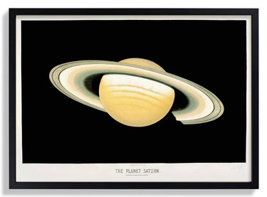 Saturn by Trouvelot - Kuriosis Fine Art GmbH