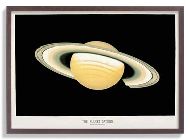 Saturn by Trouvelot - Kuriosis Fine Art GmbH