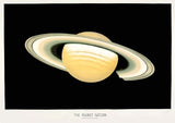 Saturn by Trouvelot - Kuriosis Fine Art GmbH