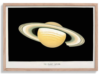 Saturn by Trouvelot
