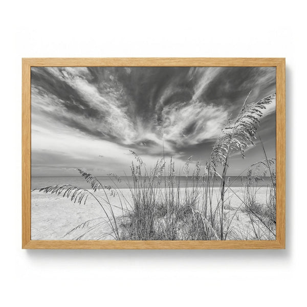Sea Oats Beach Sky by Melanie Viola