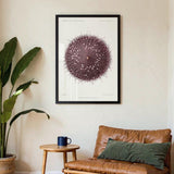 Sea Urchin - Kuriosis Fine Art GmbH