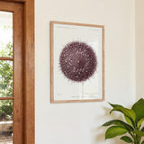 Sea Urchin - Kuriosis Fine Art GmbH