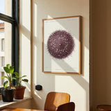 Sea Urchin - Kuriosis Fine Art GmbH