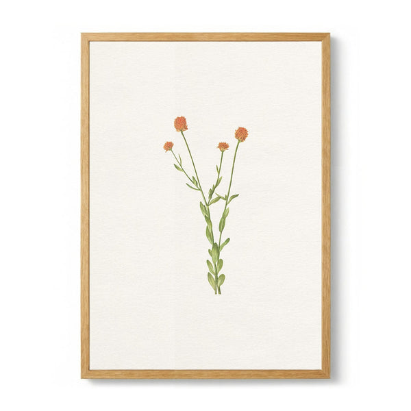 Simple Orange Blooms by Wild Violets
