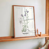 Smaaklokke - Campanula rotundifolia L by Olaf Alfred Hoffstad - Kuriosis Fine Art GmbH