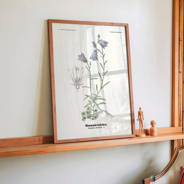 Smaaklokke - Campanula rotundifolia L by Olaf Alfred Hoffstad - Kuriosis Fine Art GmbH