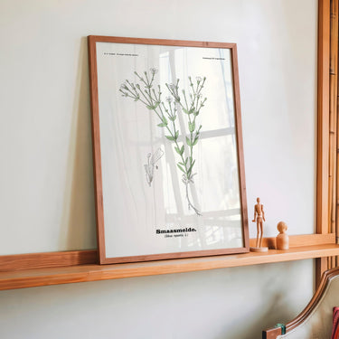 Smaasmelde - Silene rupestris L by Olaf Alfred Hoffstad - Kuriosis Fine Art GmbH