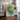 Soft Green Blue Circles by Dina Dankers - Kuriosis Fine Art GmbH
