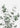 Soft Green Eucalyptus by Pictufy Studio III - Kuriosis Fine Art GmbH