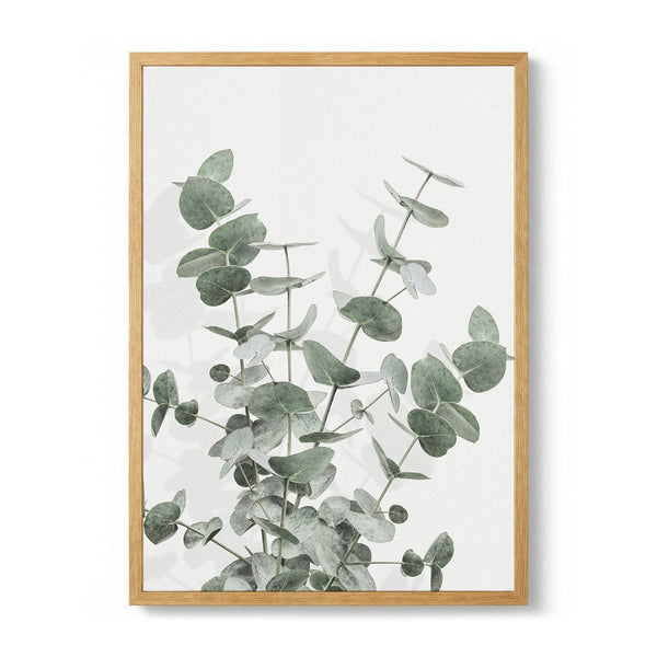 Soft Green Eucalyptus by Pictufy Studio III
