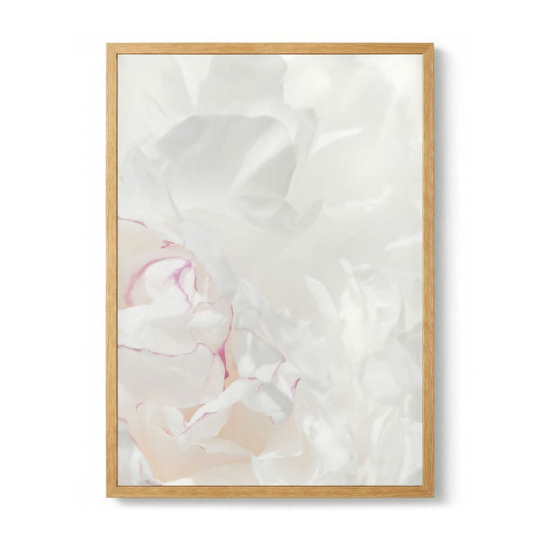 Soft Peony Petals by Pictufy Studio III