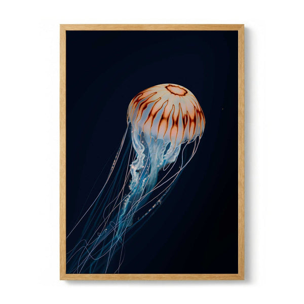 Sparkling Horizon Jellyfish de Julia Charlott