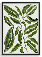 Sprig Of Leaves by Susan Black - Kuriosis Fine Art GmbH