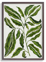 Sprig Of Leaves by Susan Black - Kuriosis Fine Art GmbH