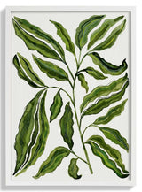 Sprig Of Leaves by Susan Black - Kuriosis Fine Art GmbH