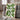 Sprig Of Leaves by Susan Black - Kuriosis Fine Art GmbH