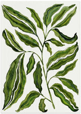 Sprig Of Leaves by Susan Black - Kuriosis Fine Art GmbH