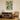 Sprig Of Leaves by Susan Black - Kuriosis Fine Art GmbH