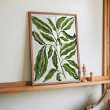 Sprig Of Leaves by Susan Black - Kuriosis Fine Art GmbH