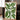 Sprig Of Leaves by Susan Black - Kuriosis Fine Art GmbH
