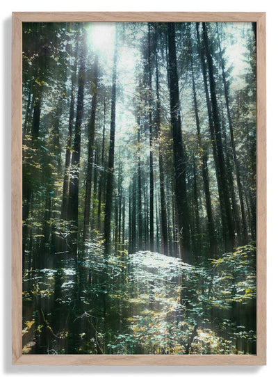 Stillness door Angelo Cerantola