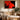 Street Lamp by Giuseppe Cristiano - Kuriosis Fine Art GmbH