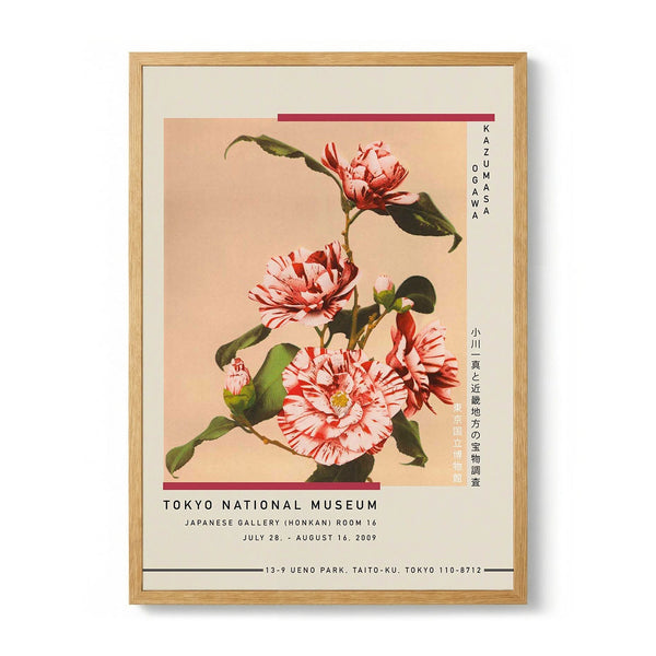 Striped Camellias by Kazumasa Exhibition
