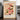 Striped Camellias by Kazumasa Exhibition - Kuriosis Fine Art GmbH