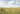Summer Flower Field by Henrike Schenk - Kuriosis Fine Art GmbH