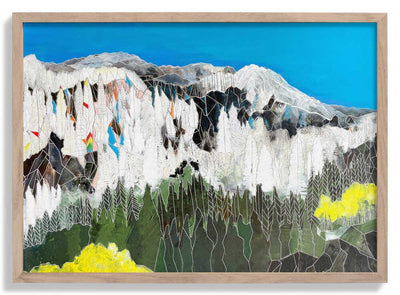 The Snow Line door Sarah Fitzgerald