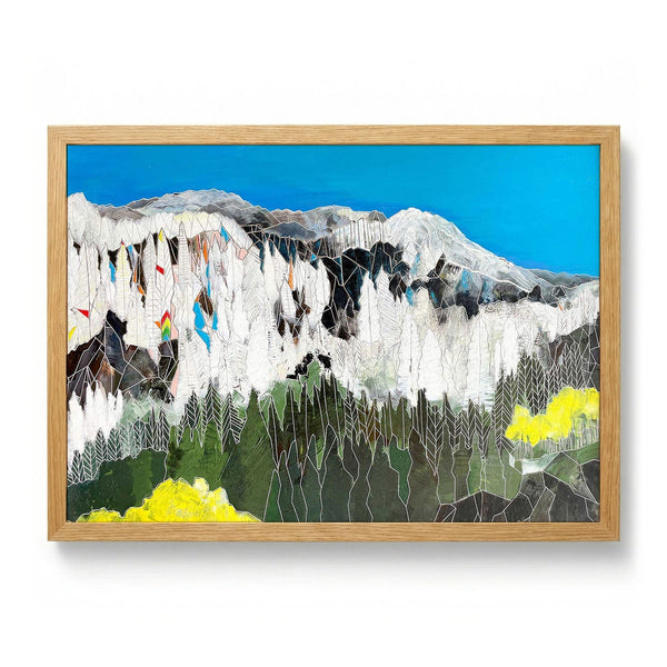 The Snow Line by Sarah Fitzgerald
