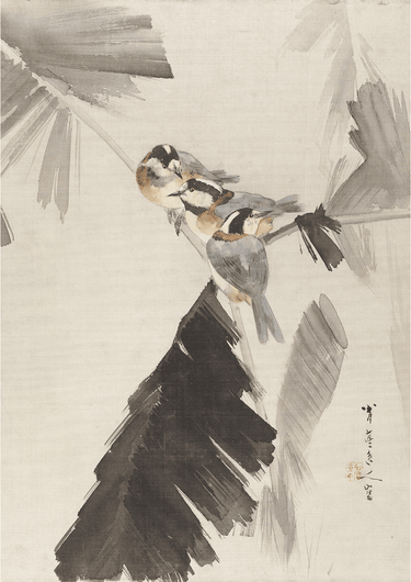 Three Birds on Branch by WANTANABE SEITEI - Kuriosis Fine Art GmbH
