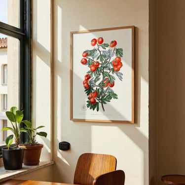 Tomatoes - Kuriosis Fine Art GmbH