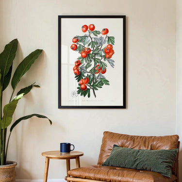 Tomatoes - Kuriosis Fine Art GmbH