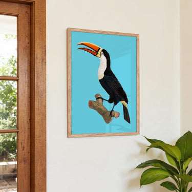 Toucan on Blue Animal Print - Kuriosis Fine Art GmbH