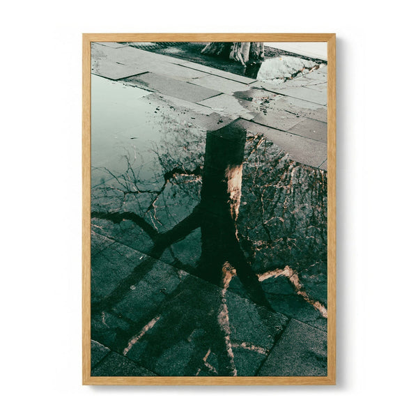 Tranquil Puddle Reflection by Aimee Giles